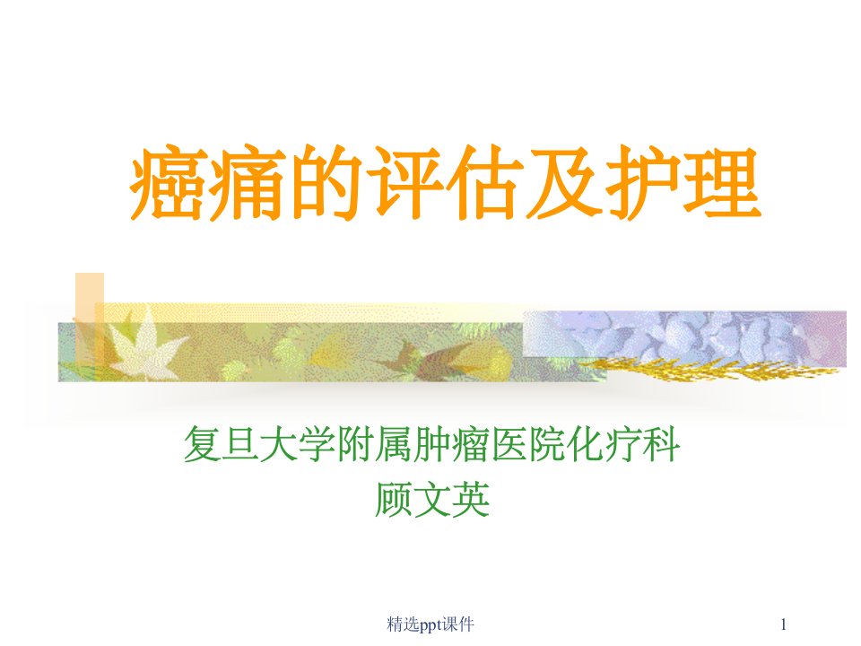 《癌痛的评估及护理》PPT课件