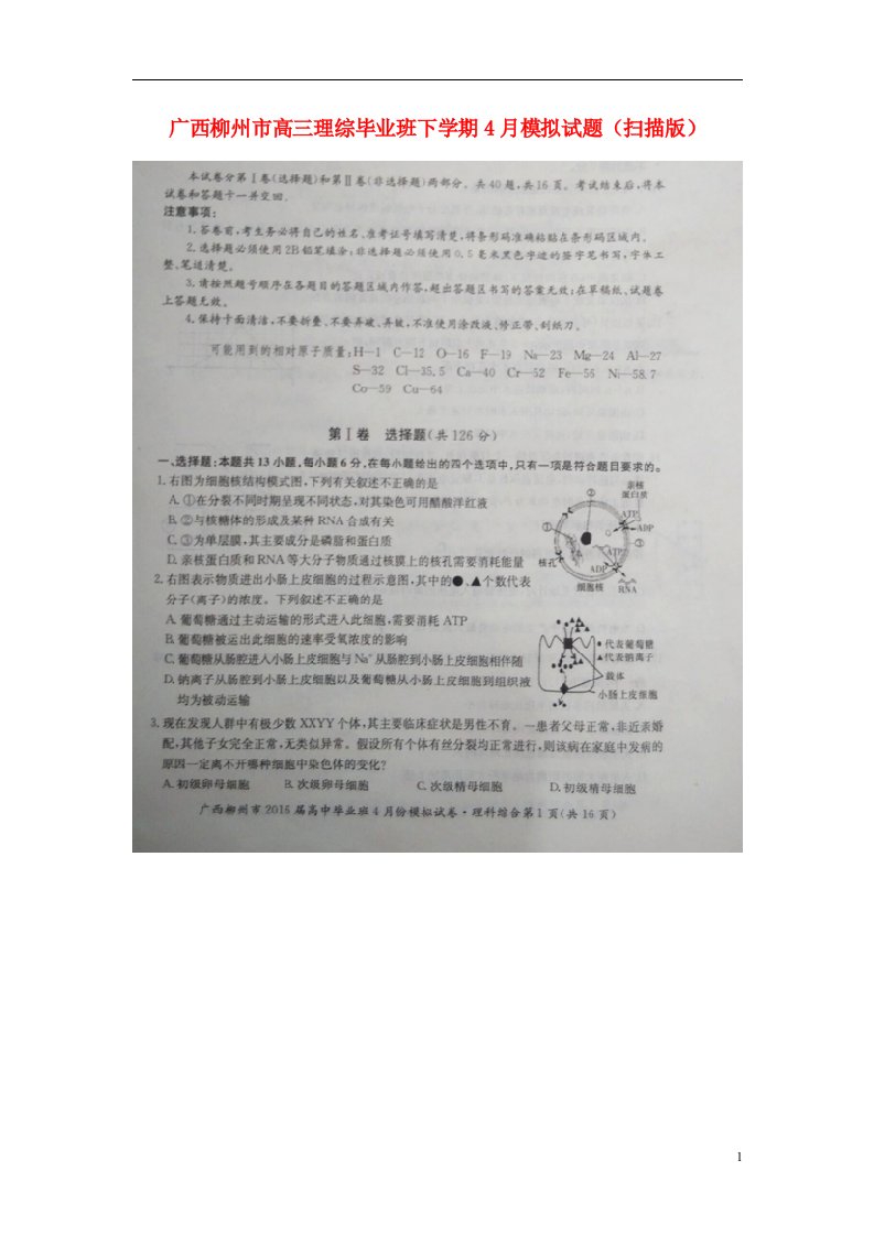 广西柳州市高三理综毕业班下学期4月模拟试题（扫描版）