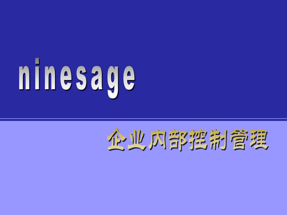 九略-汇仁集团战略咨询项目全套企业内控制度培训提纲0711