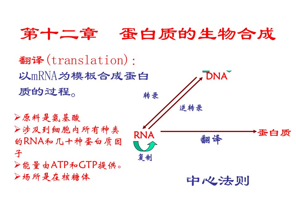 第十二章蛋白质合成