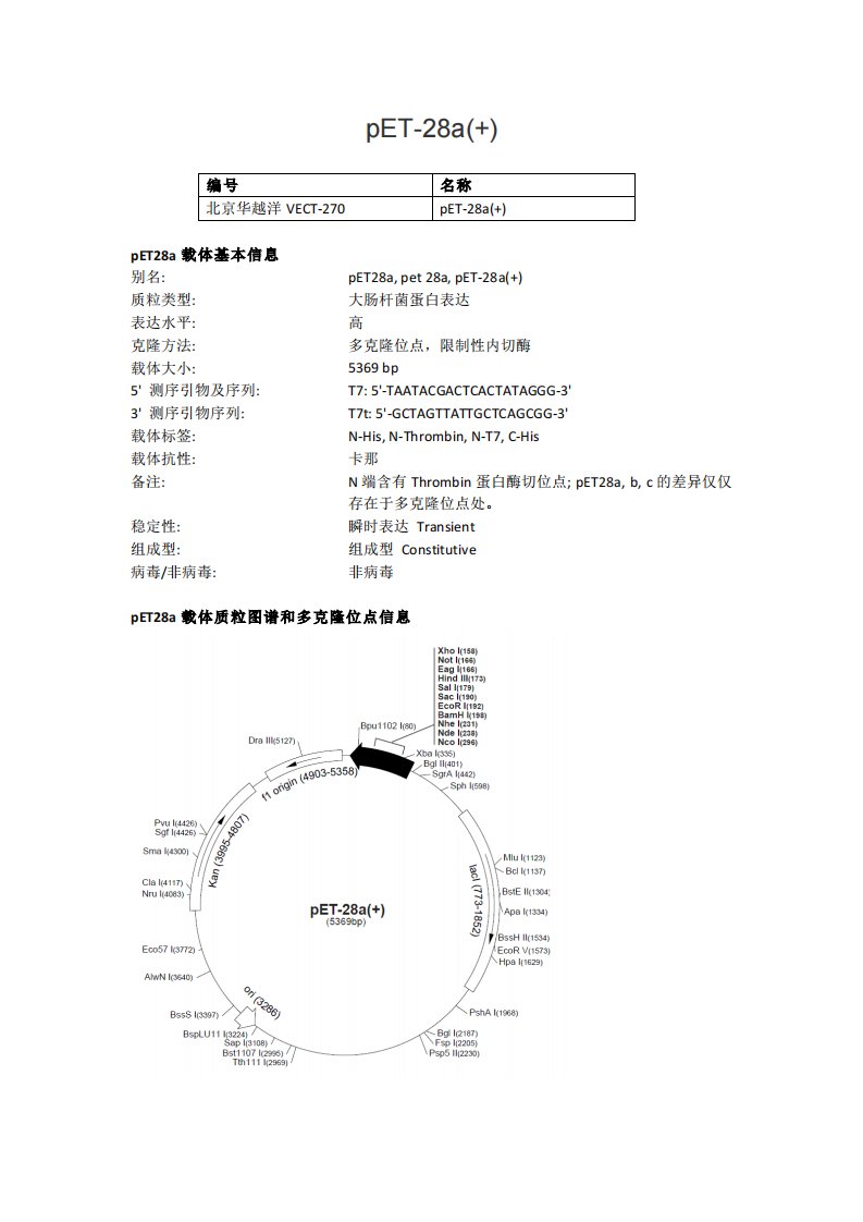 pET-28a(+)大肠杆菌表达载体说明