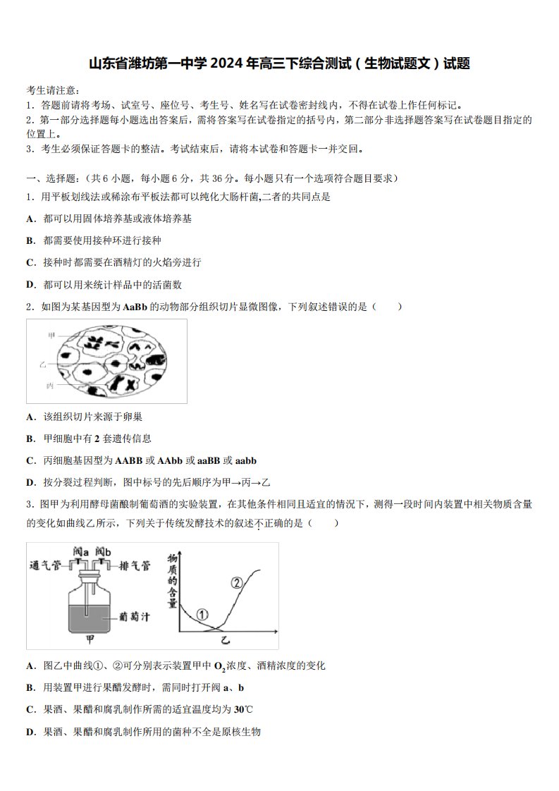 山东省潍坊第一中学2024年高三下综合测试(生物试题文)试题含解析6951