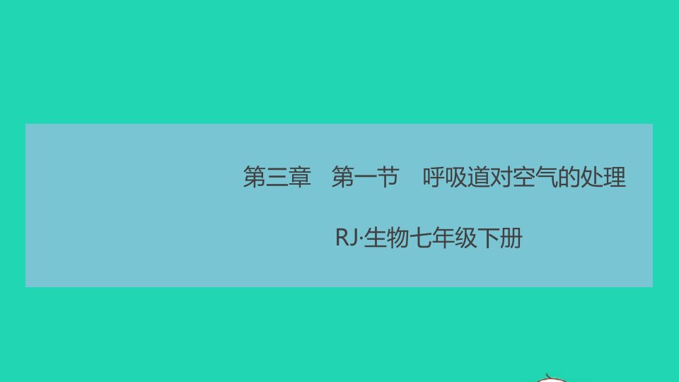 七年级生物下册第四单元生物圈中的人第三章人体的呼吸第一节呼吸道对空气的处理作业课件新版新人教版