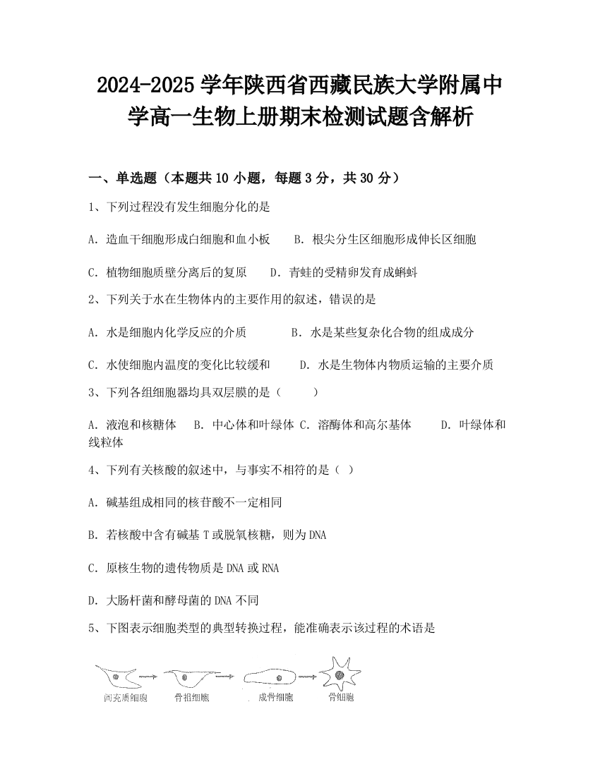 2024-2025学年陕西省西藏民族大学附属中学高一生物上册期末检测试题含解析