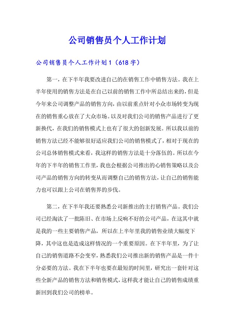 公司销售员个人工作计划