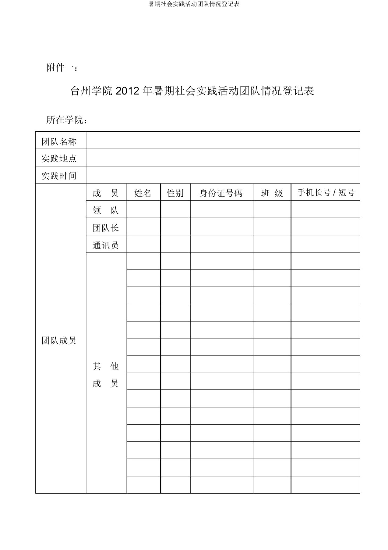 暑期社会实践活动团队情况登记表