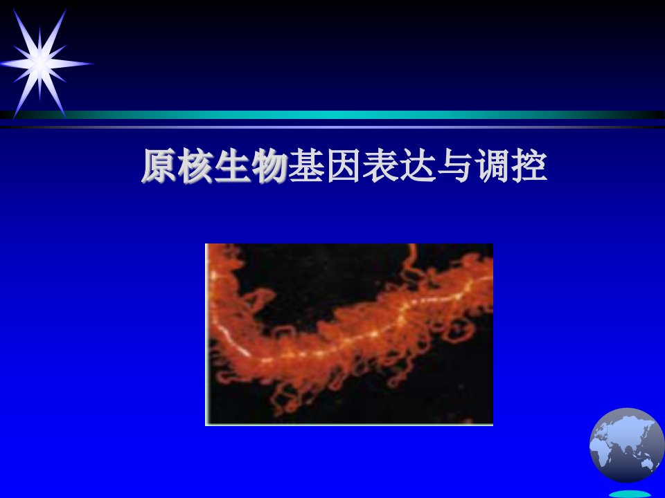 遗传学教学课件：原核生物基因表达与调控