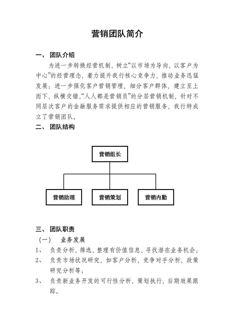 营销团队简介