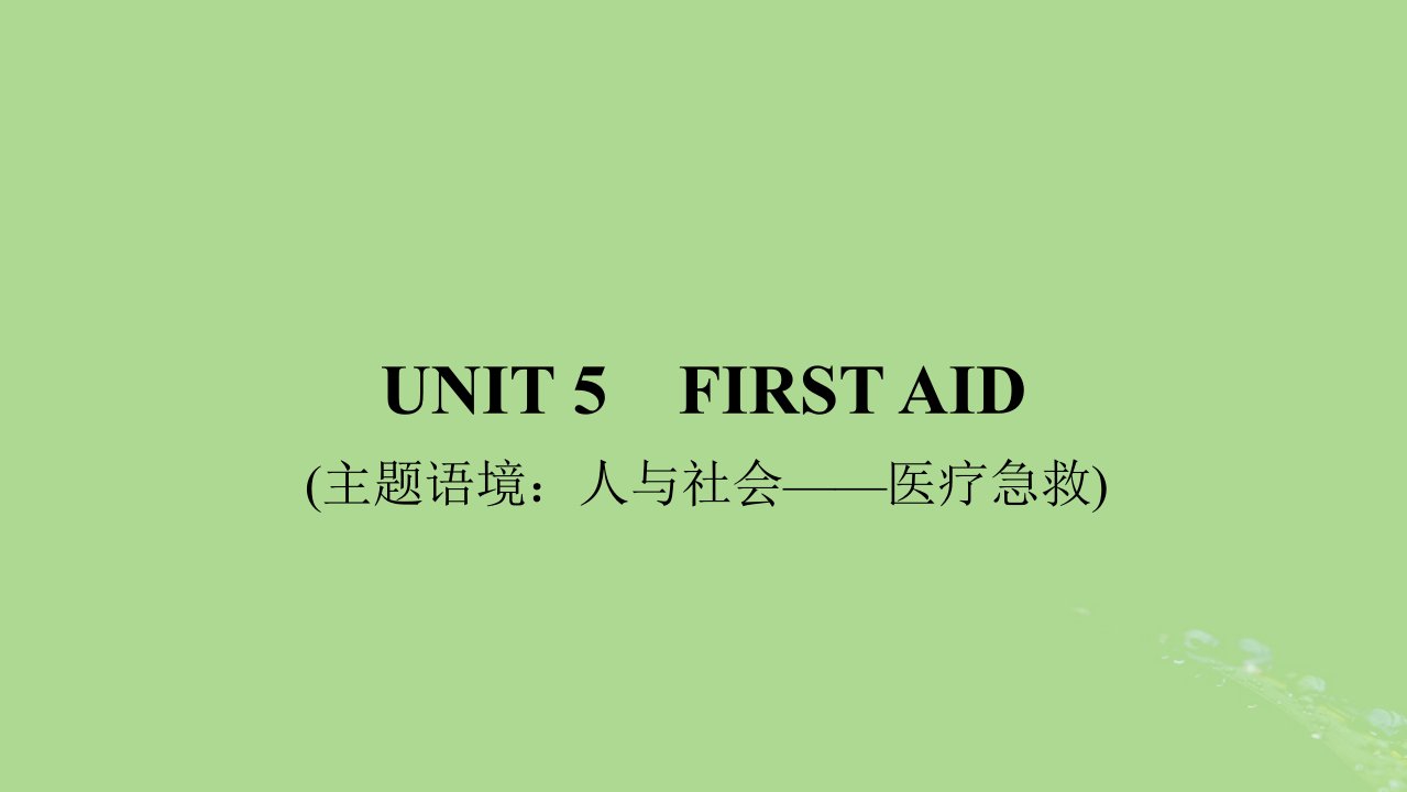 2025版高考英语一轮总复习选择性必修第二册Unit5FirstAid课件