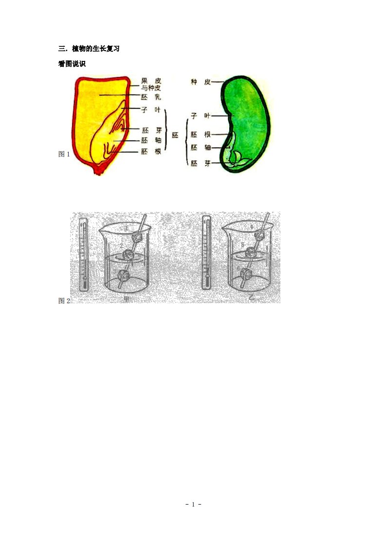 (浙教版)七年级科学下册第1章代代相传的生命专题复习：植物的生长