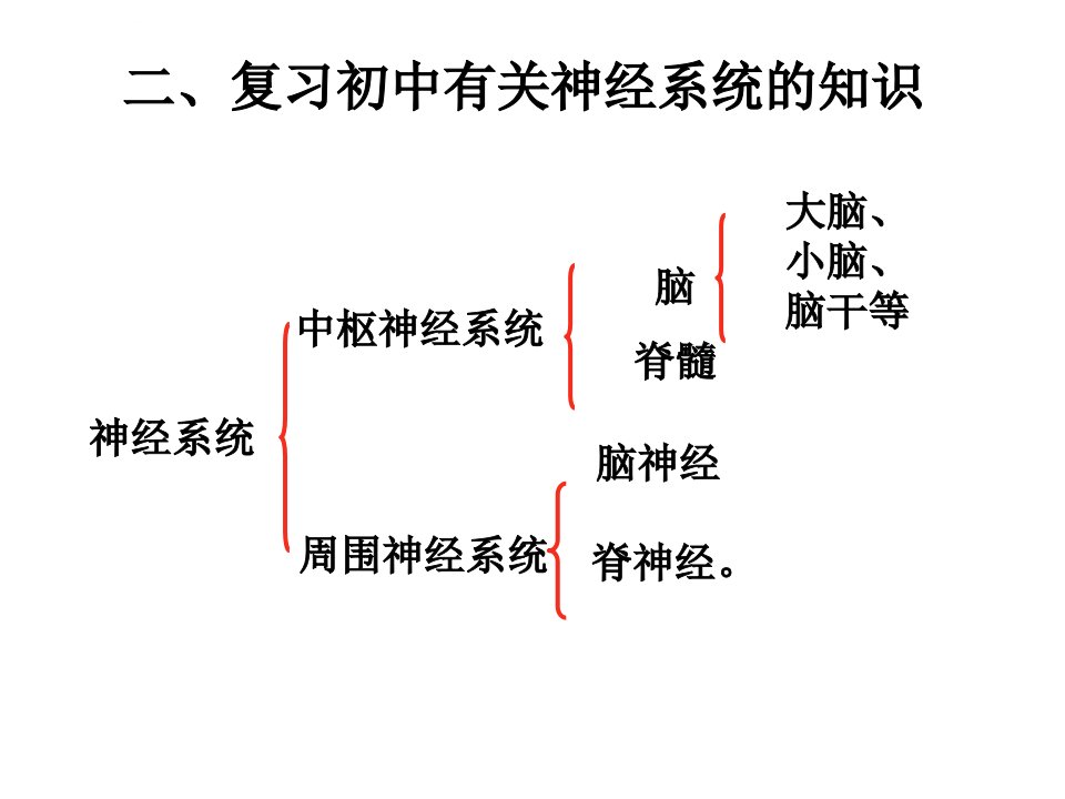 动物和人体生命活动的调节上课用ppt课件