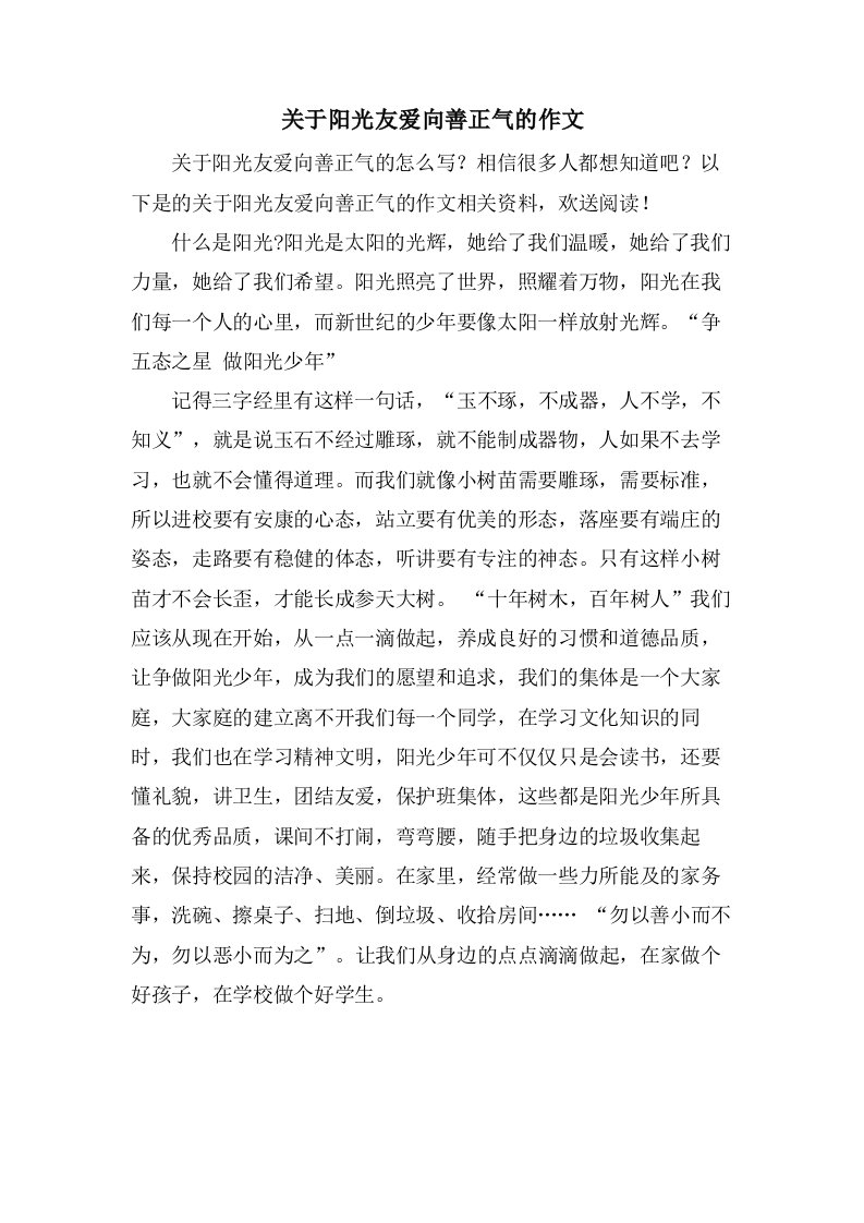 关于阳光友爱向善正气的作文