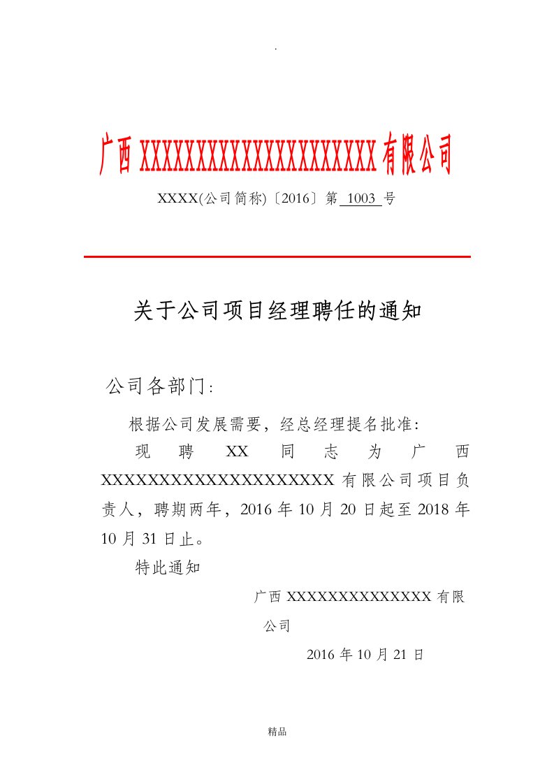 公司法人、项目经理、技术负责人任职文件