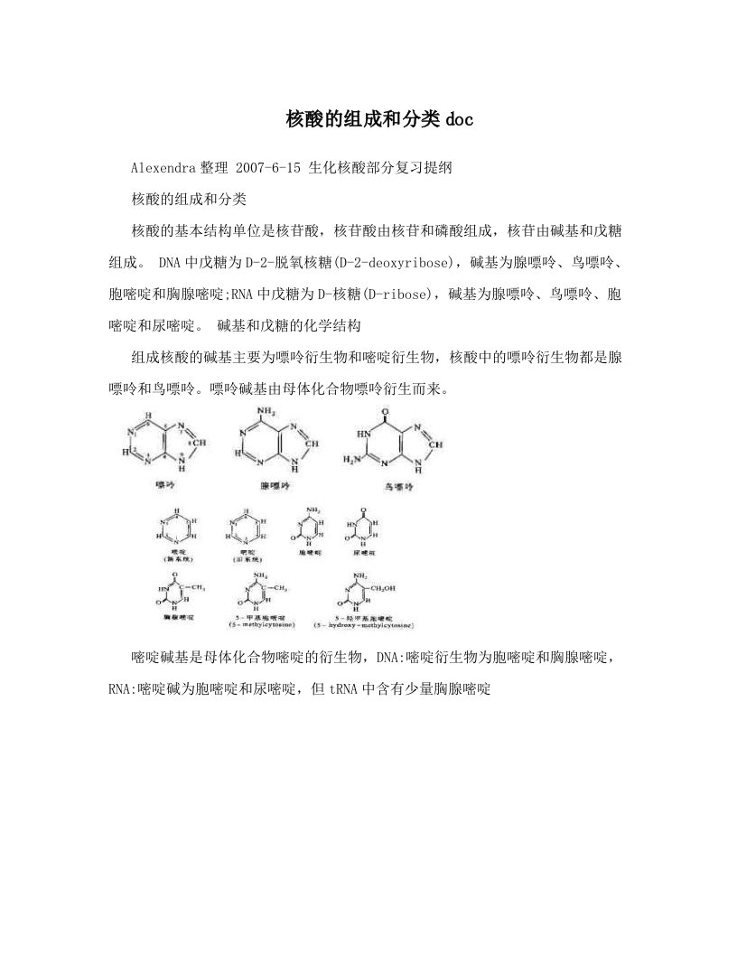 核酸的组成和分类doc