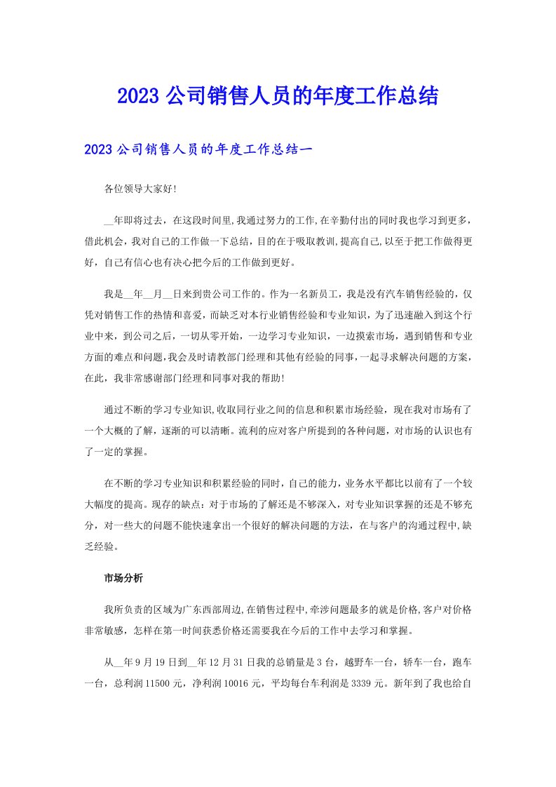 2023公司销售人员的年度工作总结