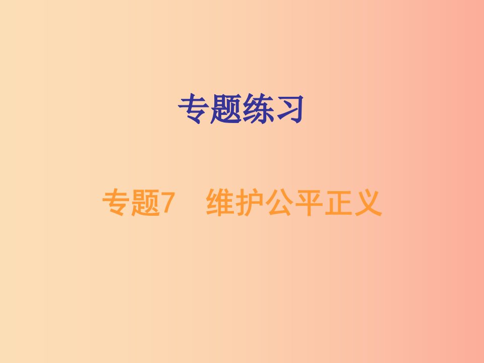 广东省2019年中考道德与法治总复习专题突破7维护公平正义课件