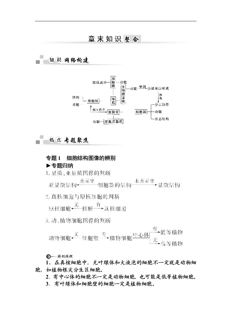 人教版高中生物必修一：第3章知识整合与训练（含答案解析）