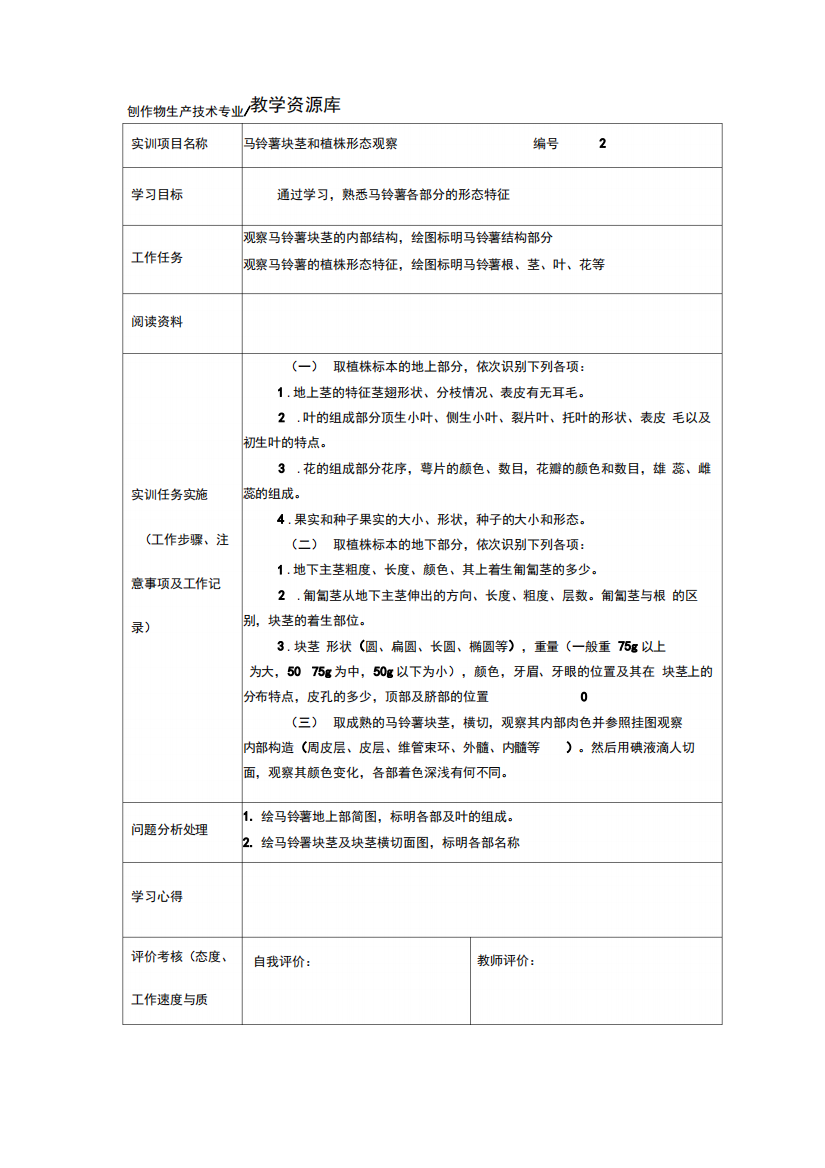 马铃薯块茎和植株形态观察实训任务单