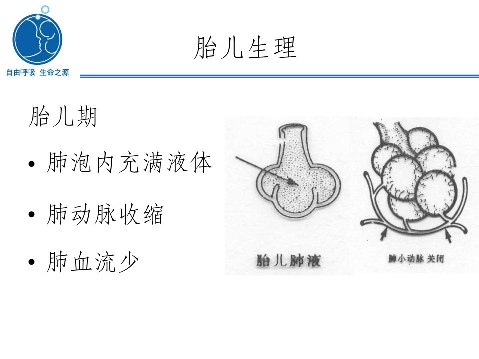 新版新生儿窒息复苏ppt课件