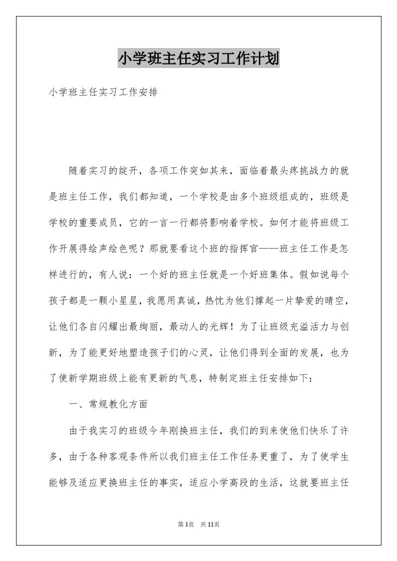 小学班主任实习工作计划例文