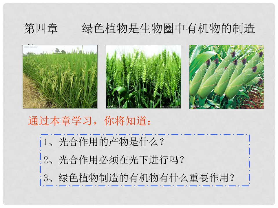 陕西省石泉县七年级生物上册