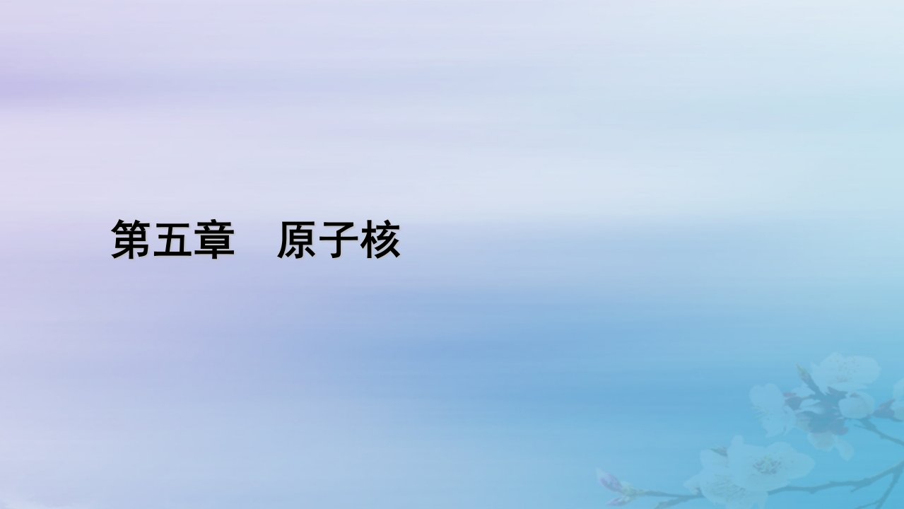 新教材适用2023_2024学年高中物理第5章原子核2放射性元素的衰变课件新人教版选择性必修第三册