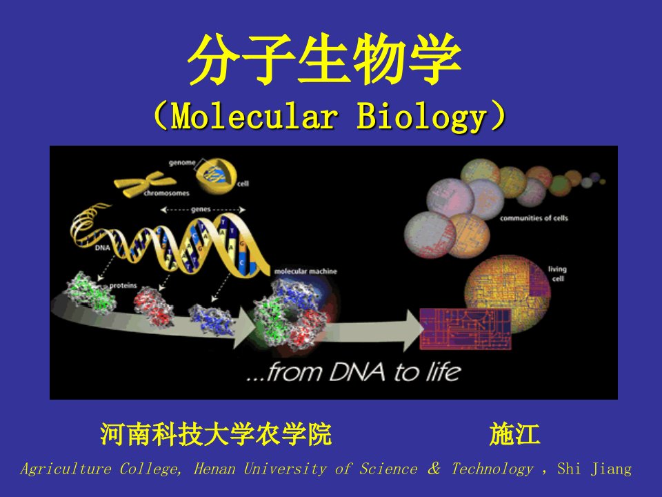 绪论3分子生物学课件