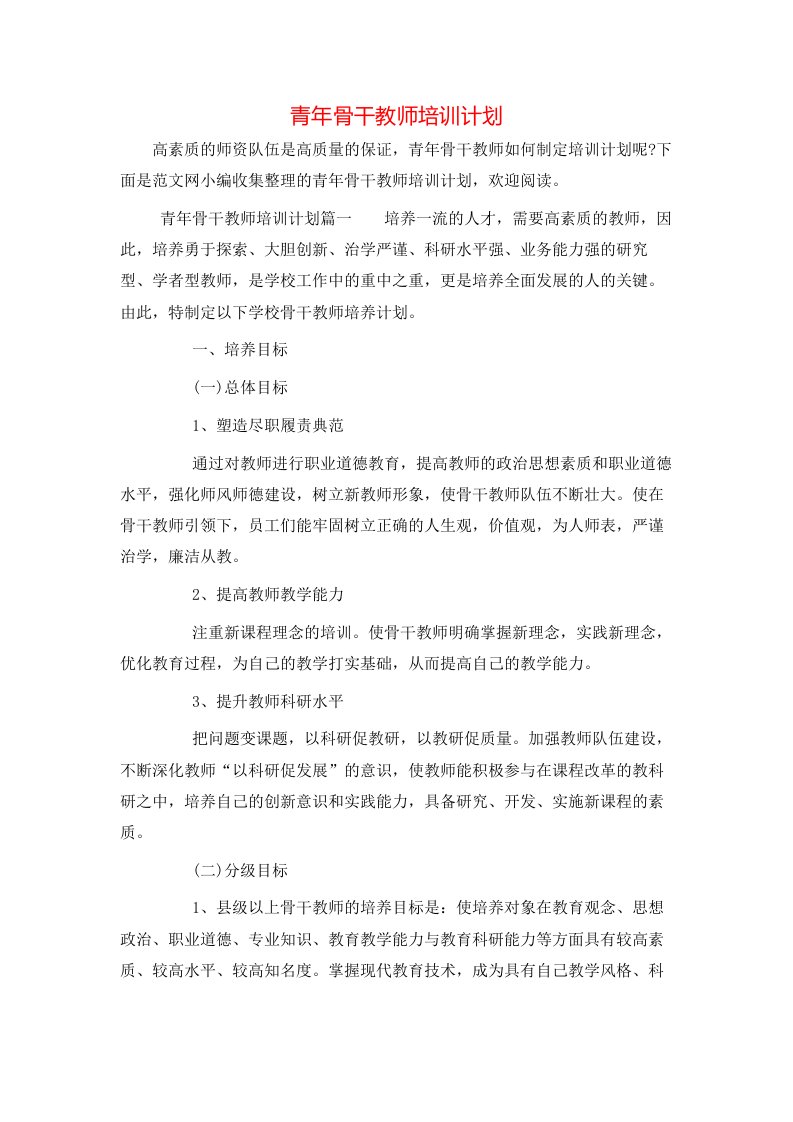 青年骨干教师培训计划