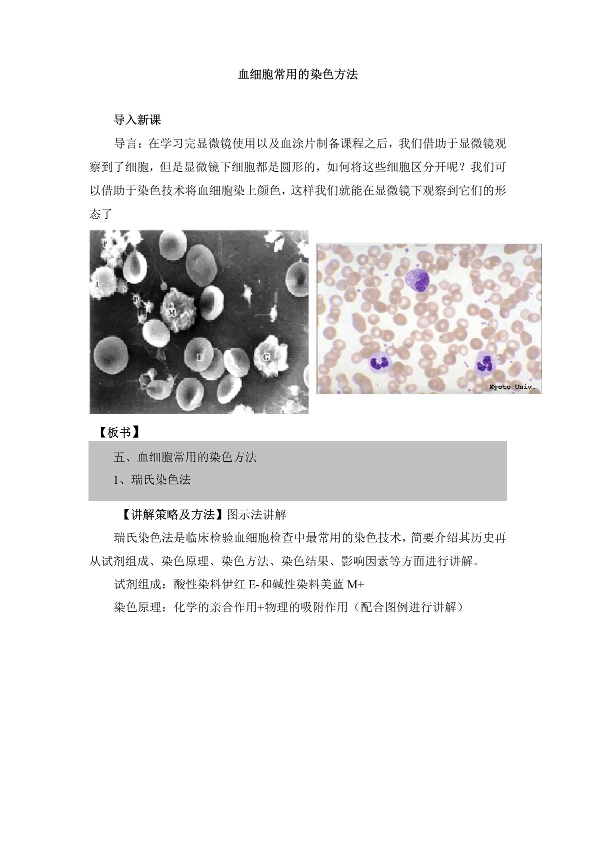 血细胞常用的染色方法