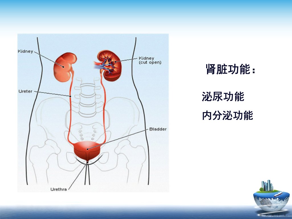 急性肾功能衰竭