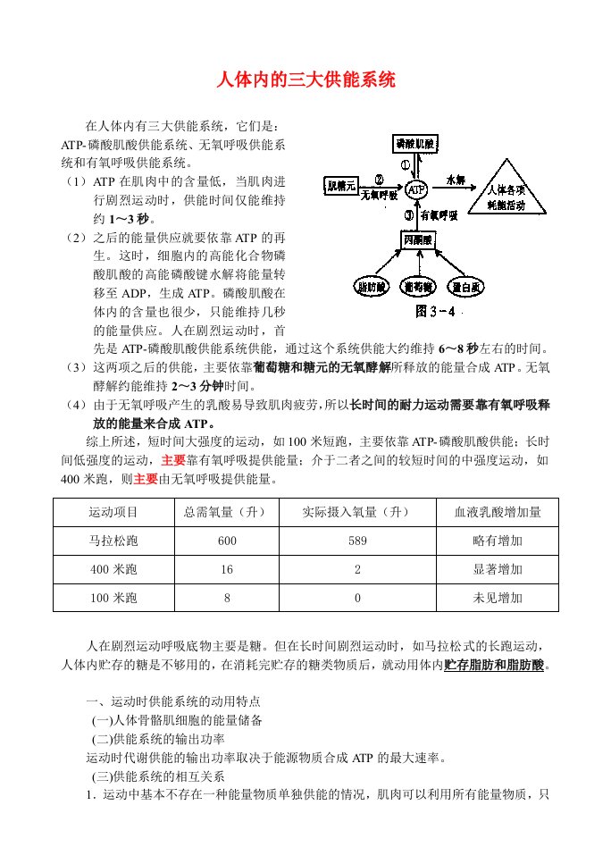 人体三大供能系统