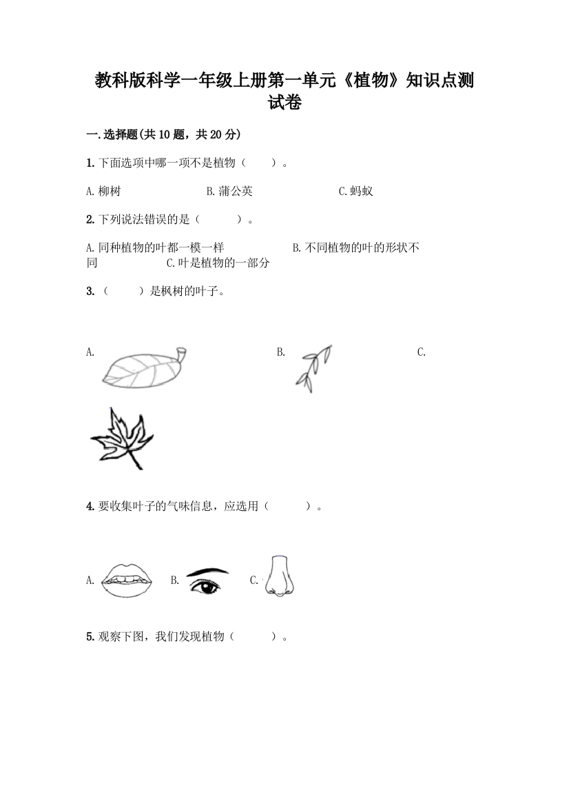 教科版科学一年级上册第一单元《植物》知识点测试卷附完整答案【名校卷】