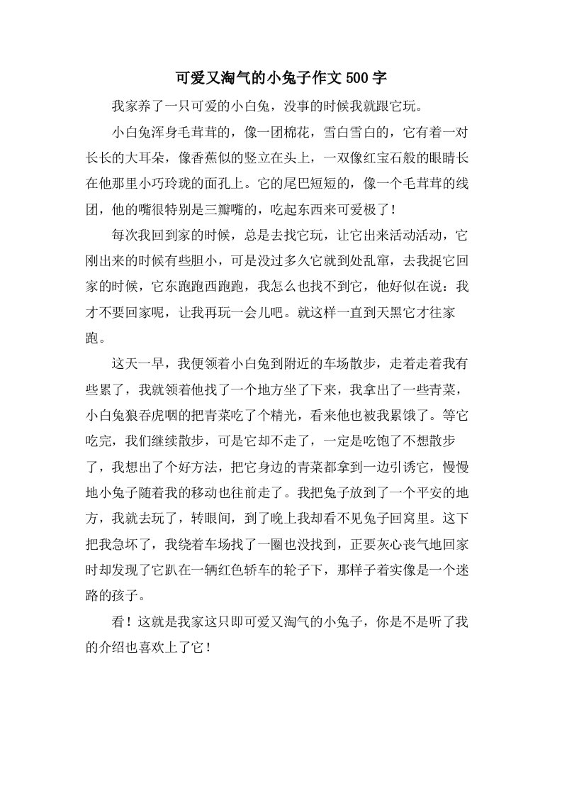 可爱又淘气的小兔子作文500字