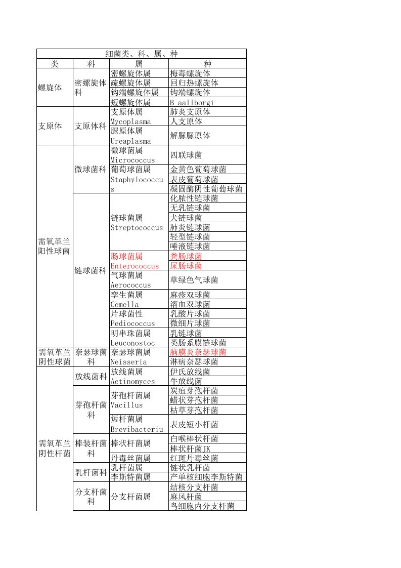 细菌种属