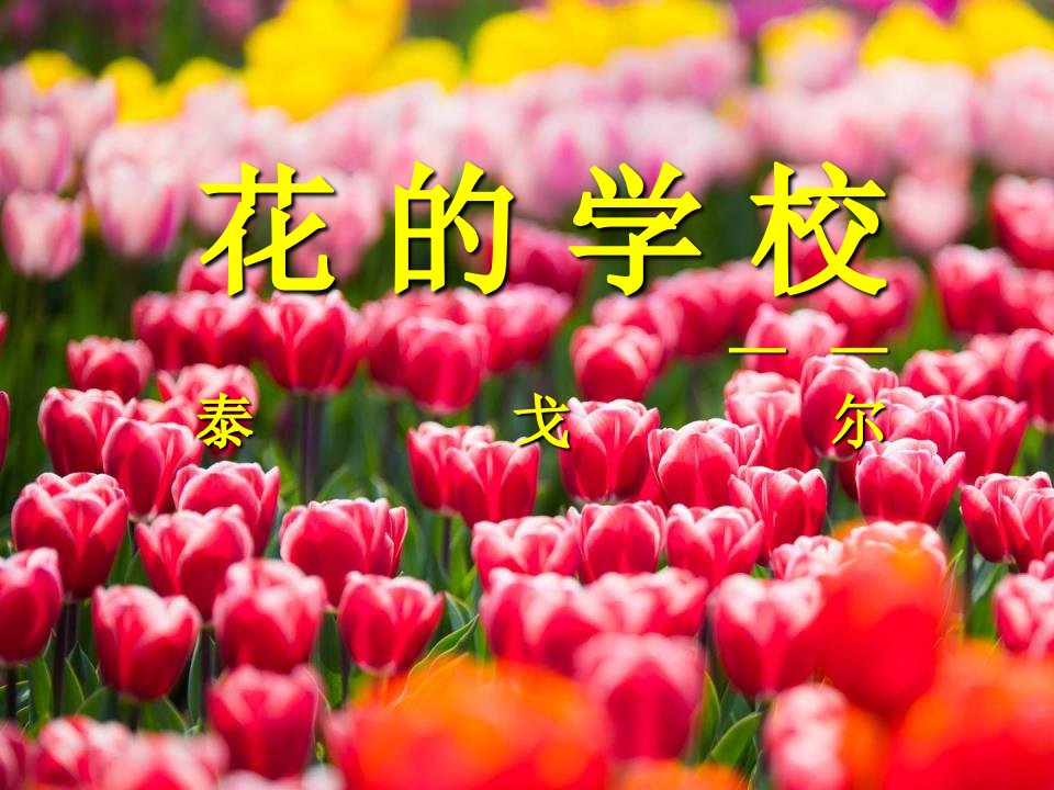 《花的学校》ppt课件