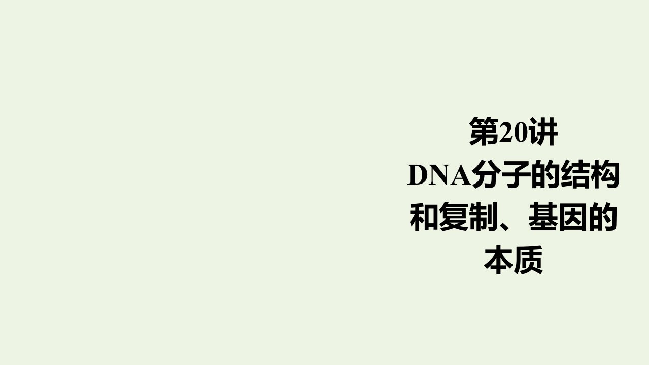 高考生物一轮复习第6单元遗传的物质基础第20讲DNA分子的结构和复制基因的本质课件