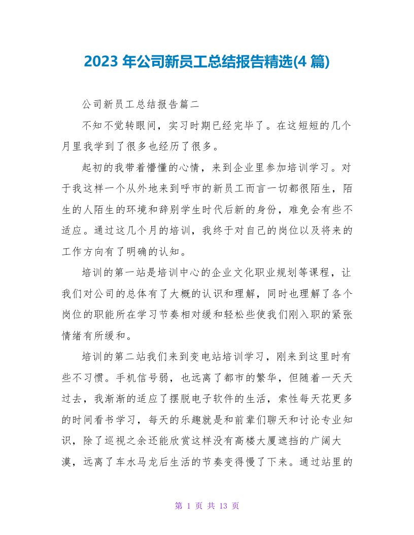 2023年公司新员工总结报告(4篇)