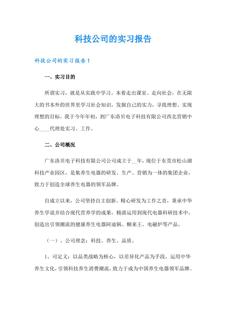 科技公司的实习报告