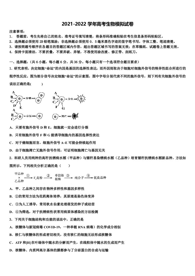 2022年河北衡水武邑中学高三一诊考试生物试卷含解析