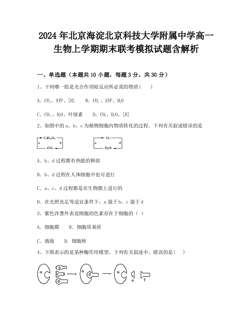 2024年北京海淀北京科技大学附属中学高一生物上学期期末联考模拟试题含解析