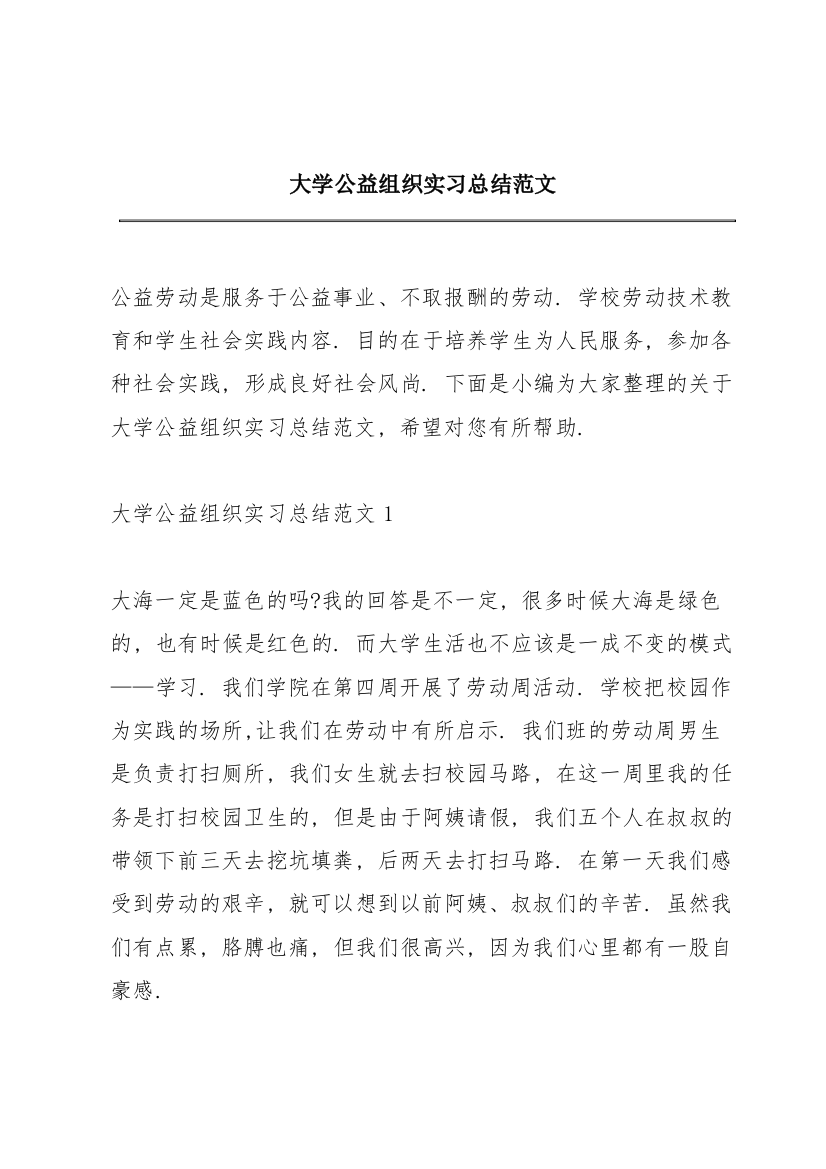 大学公益组织实习总结范文