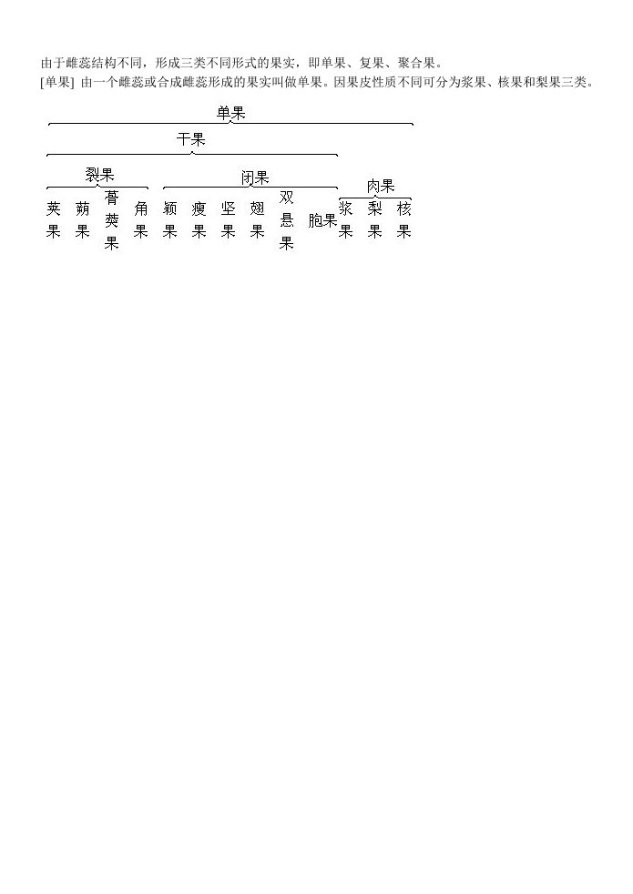 单果、复果、聚合果