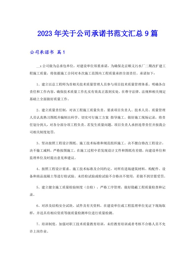 关于公司承诺书范文汇总9篇