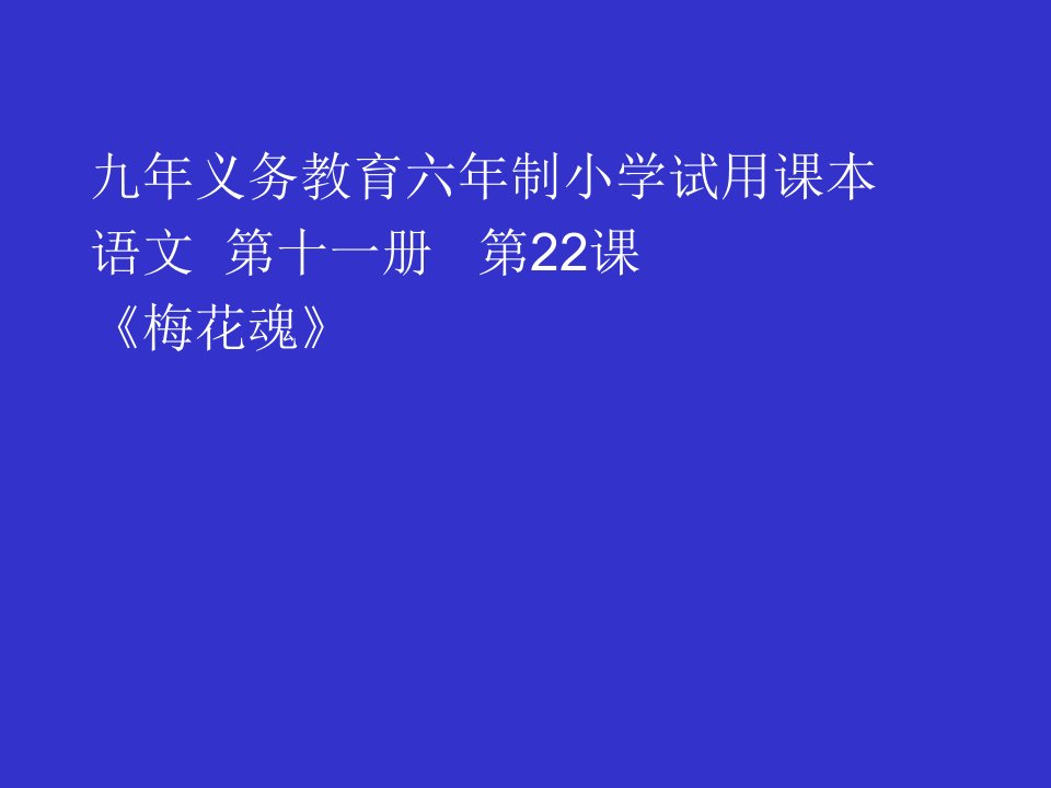 梅花魂课件13页