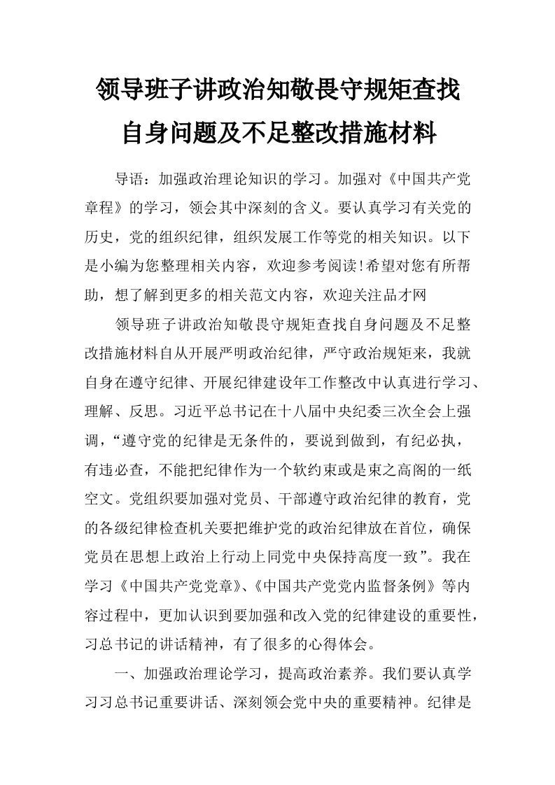 领导班子讲政治知敬畏守规矩查找自身问题及不足整改措施材料