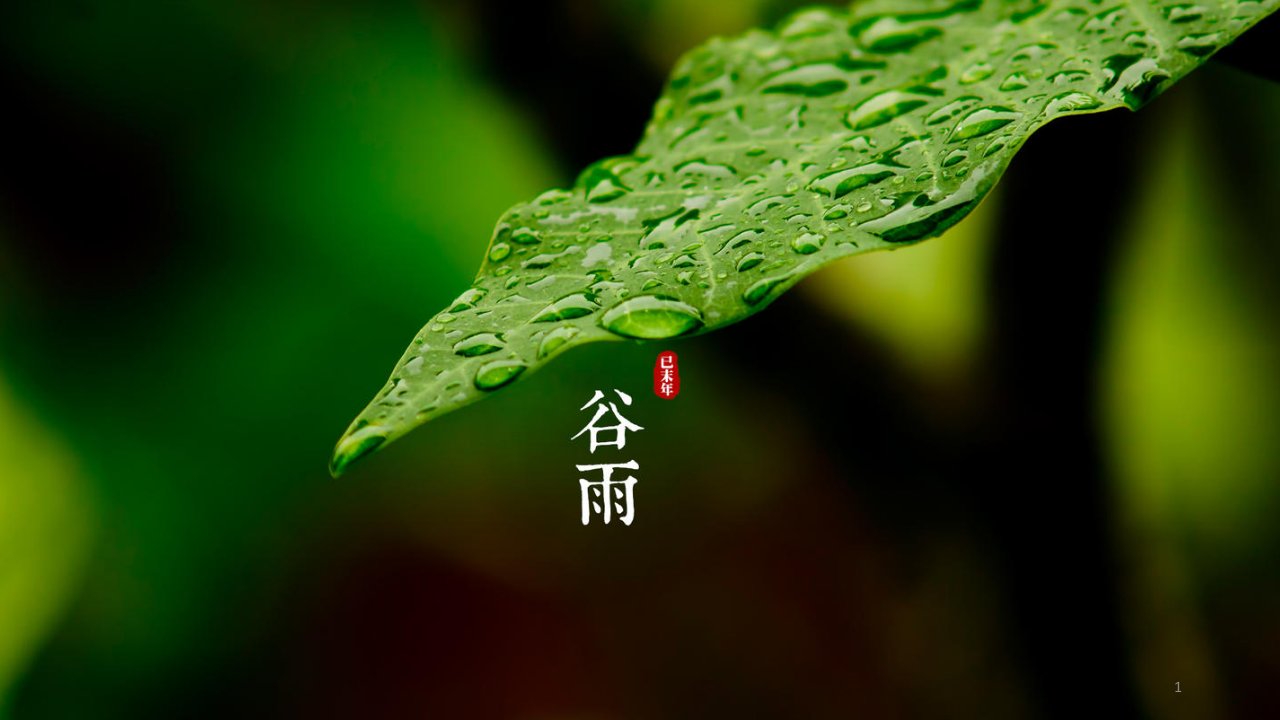 24节气之谷雨课件