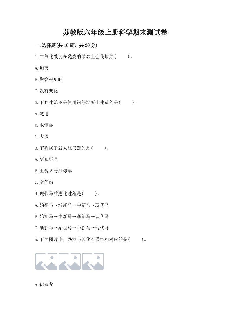 苏教版六年级上册科学期末测试卷（有一套）