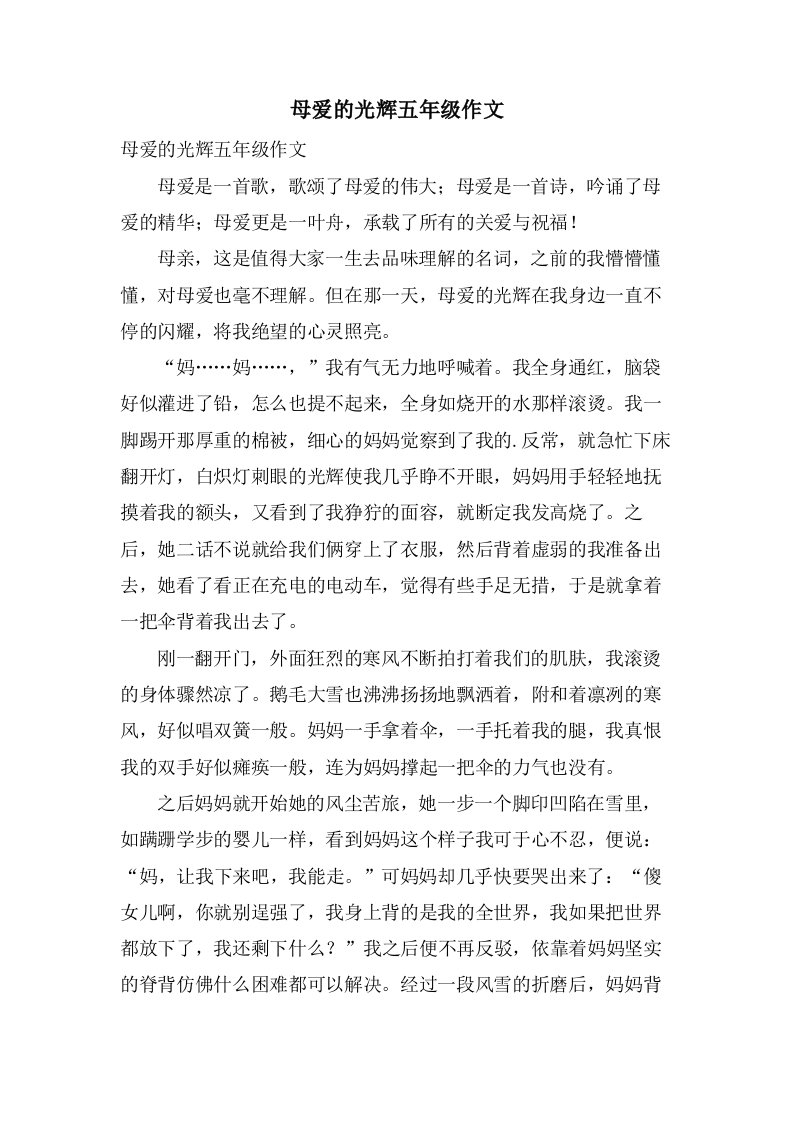 母爱的光辉五年级作文