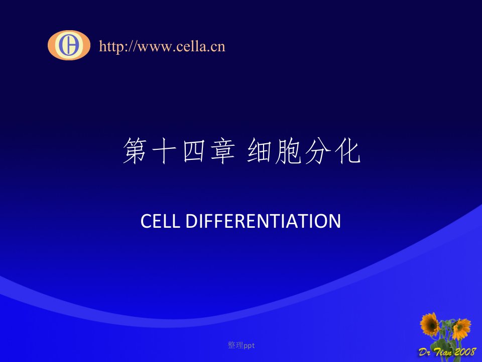 生物细胞：第十四章肿瘤细胞课件