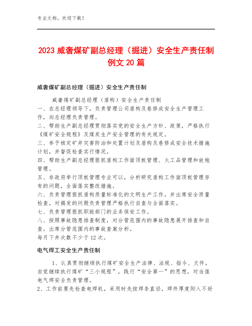 2023威奢煤矿副总经理（掘进）安全生产责任制例文20篇